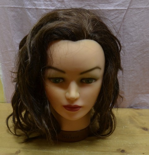 Testa con capelli - con,