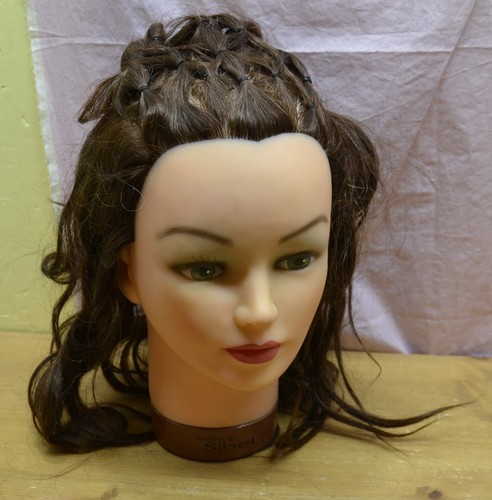 Testa con capelli - testa, per